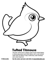 Tufted Titmouse coloring #3, Download drawings