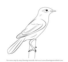 Titmouse svg #9, Download drawings