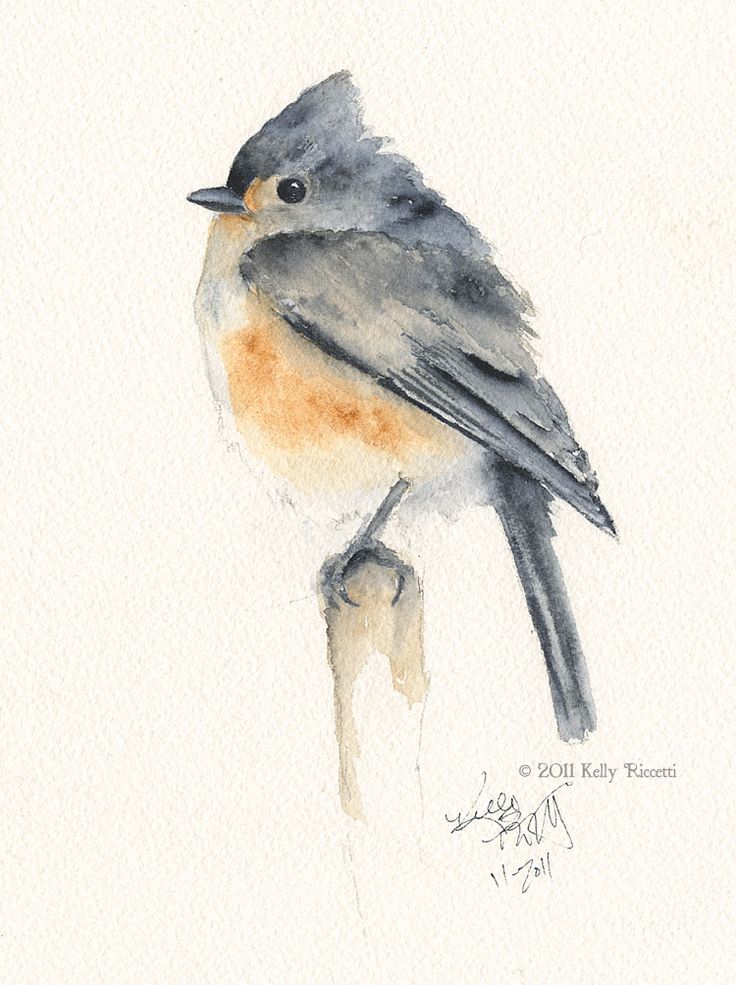 Tufted Titmouse svg #6, Download drawings