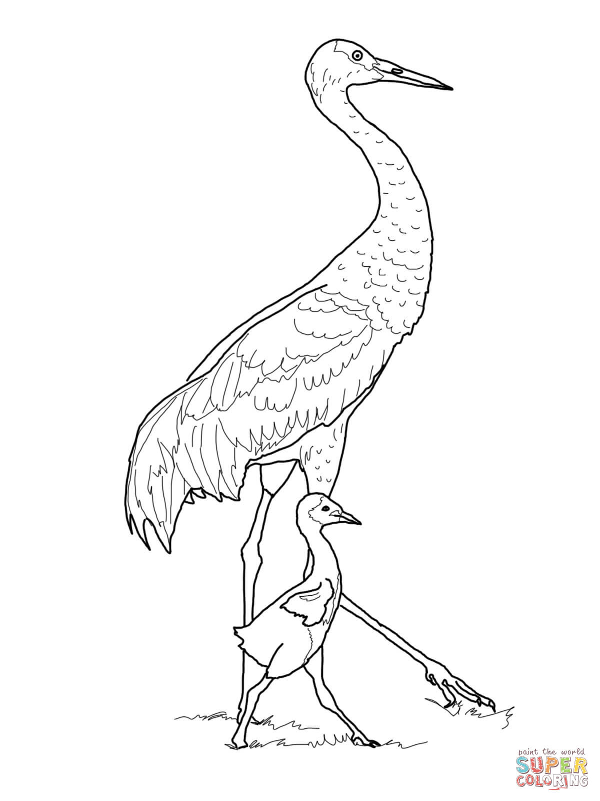 Siberian Crane coloring #13, Download drawings