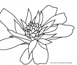 Bromelia coloring #18, Download drawings