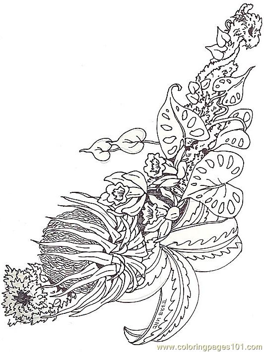 Bromelia coloring #4, Download drawings