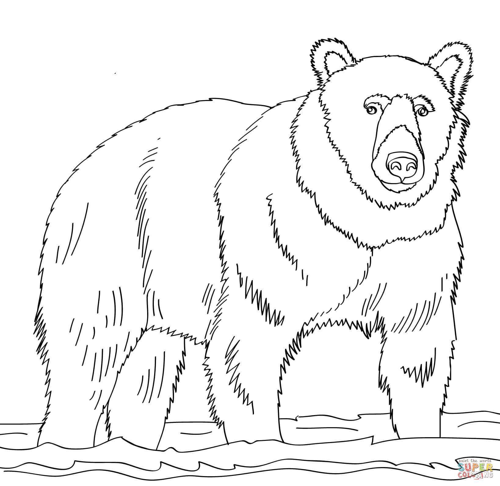 Brown Bear coloring #8, Download drawings