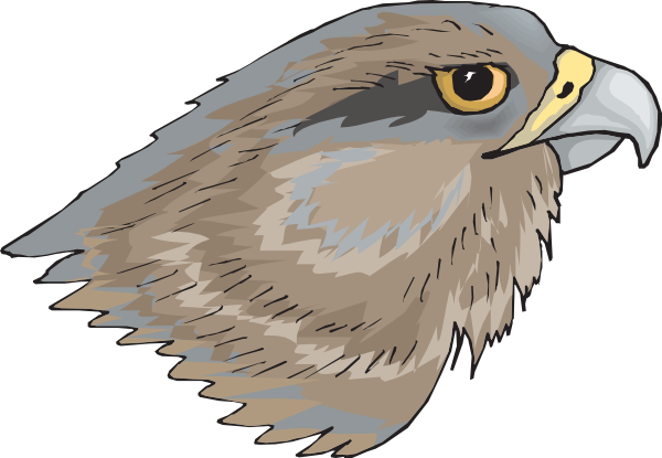 Brown Hawk Owl clipart #9, Download drawings