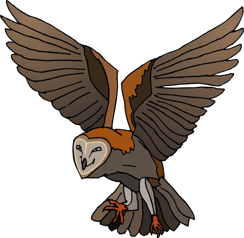 Brown Hawk Owl clipart #2, Download drawings