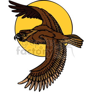 Brown Hawk Owl clipart #3, Download drawings