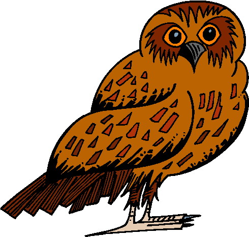 Brown Hawk Owl clipart #10, Download drawings