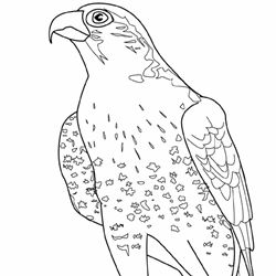 Brown Hawk Owl coloring #16, Download drawings
