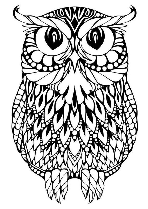 Brown Hawk Owl svg #12, Download drawings
