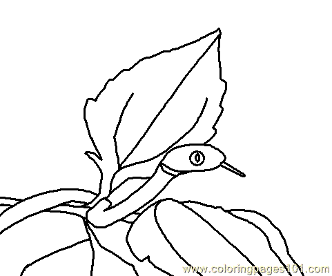 Brown Tree Snake coloring #17, Download drawings