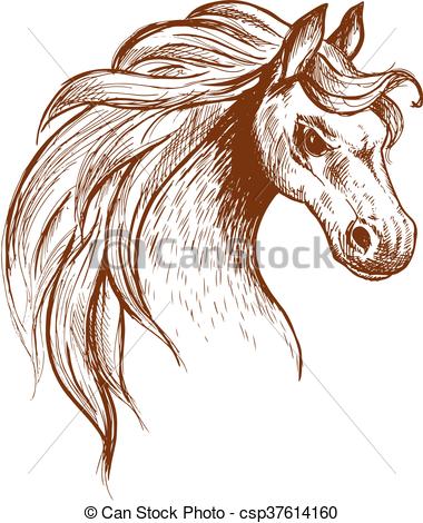 Brumby clipart #13, Download drawings