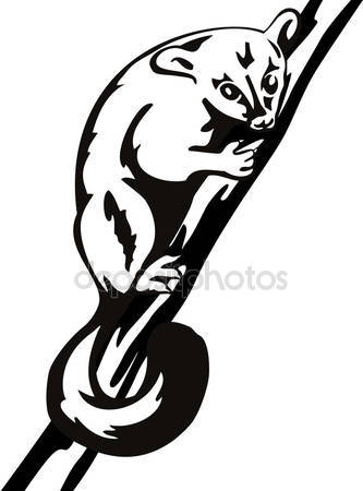 Brushtail Possum clipart #9, Download drawings