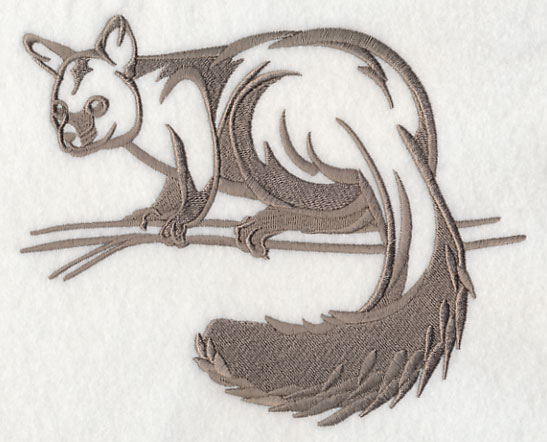 Brushtail Possum coloring #16, Download drawings