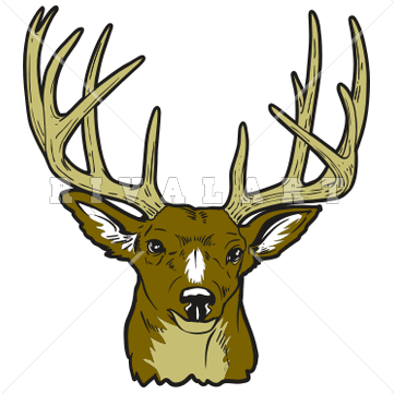 Buck clipart #6, Download drawings