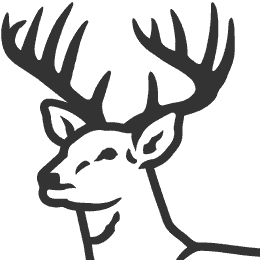Buck clipart #5, Download drawings