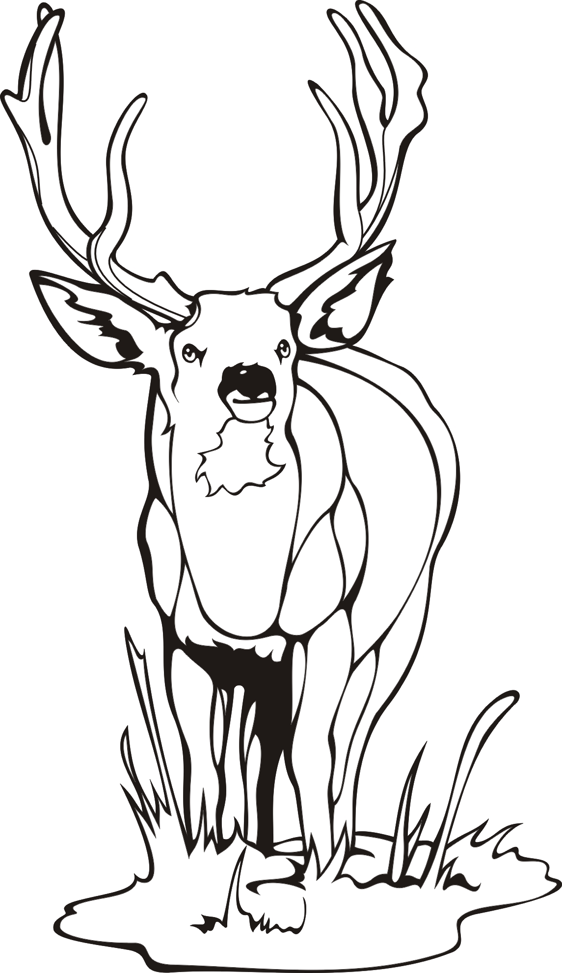 Buck coloring #5, Download drawings