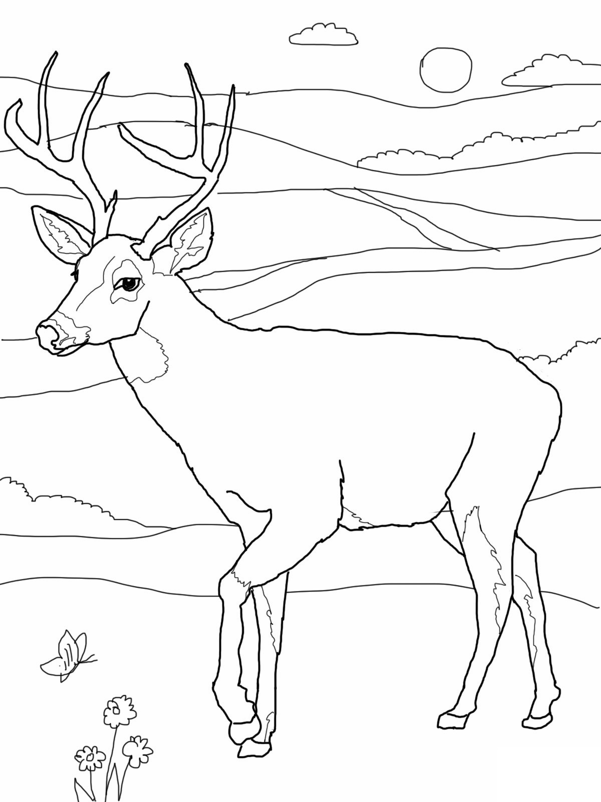 Buck coloring #14, Download drawings