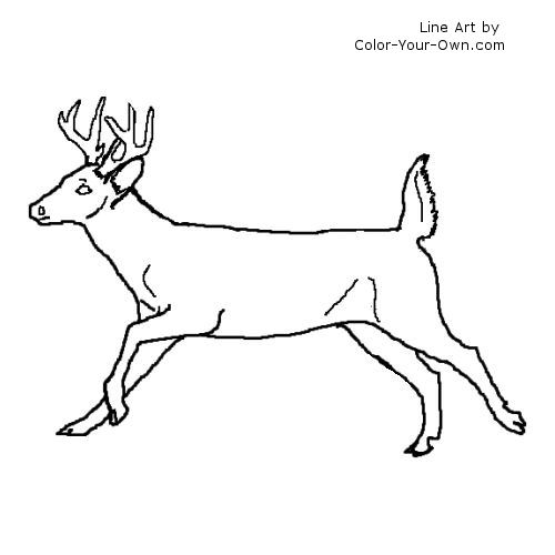 Buck coloring #19, Download drawings