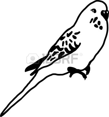 Budgie clipart #5, Download drawings