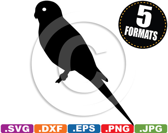 Budgie svg #10, Download drawings