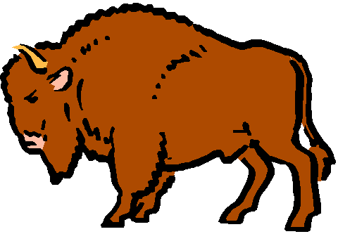 Buffalo clipart #14, Download drawings