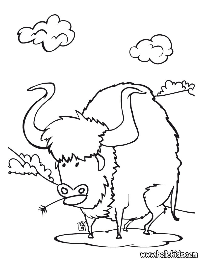 Buffalo coloring #9, Download drawings