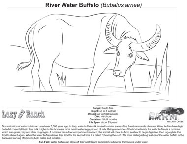 Buffalo River coloring #17, Download drawings