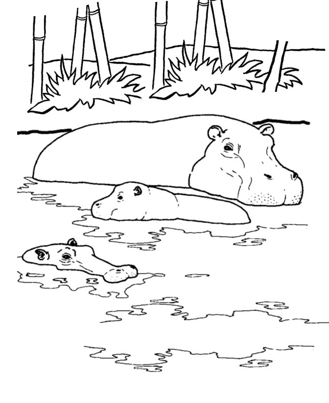 Buffalo River coloring #16, Download drawings
