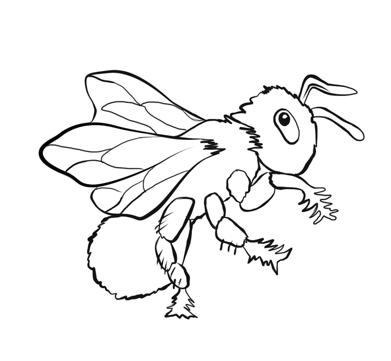 Bug coloring #19, Download drawings