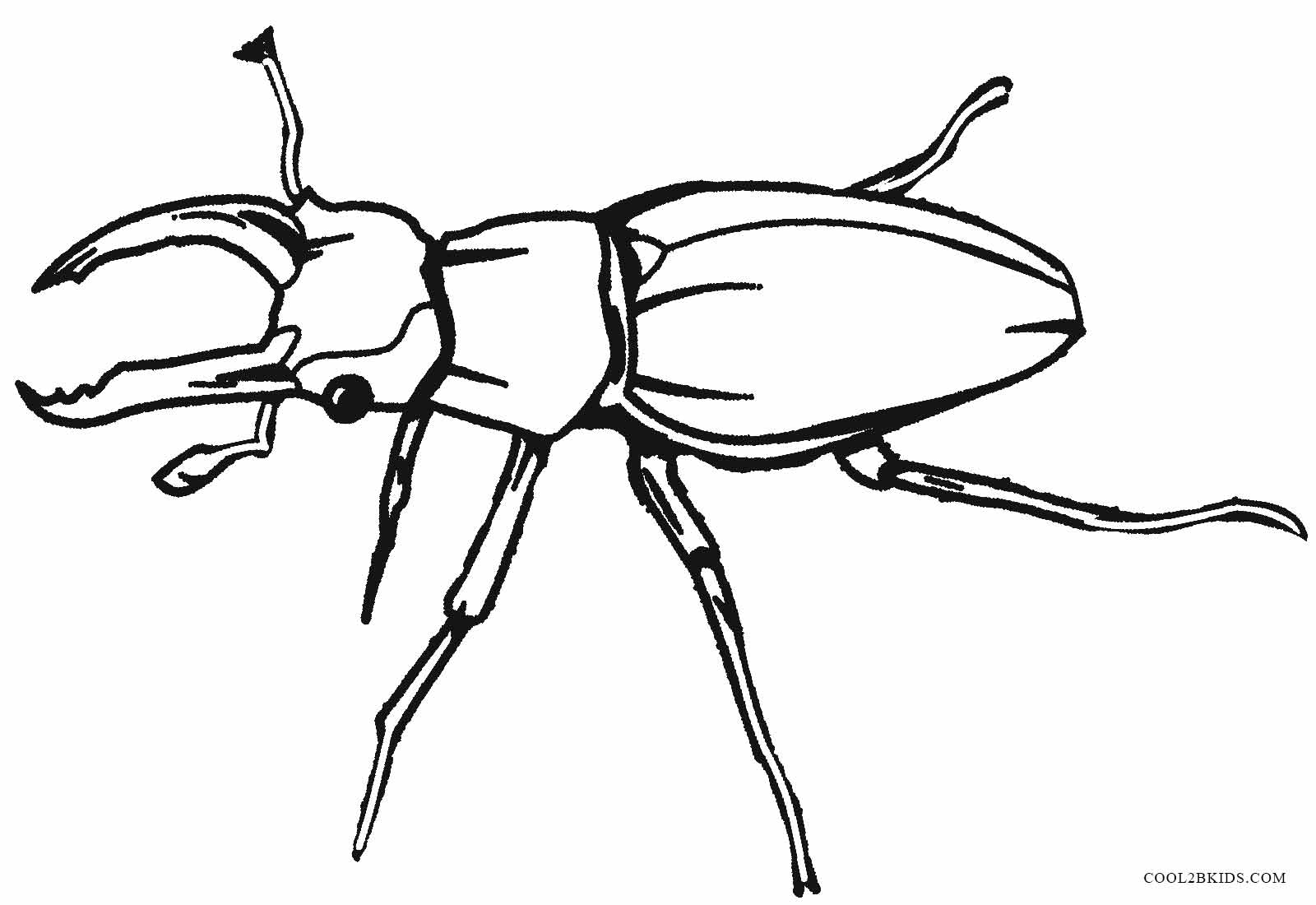 Bug coloring #7, Download drawings