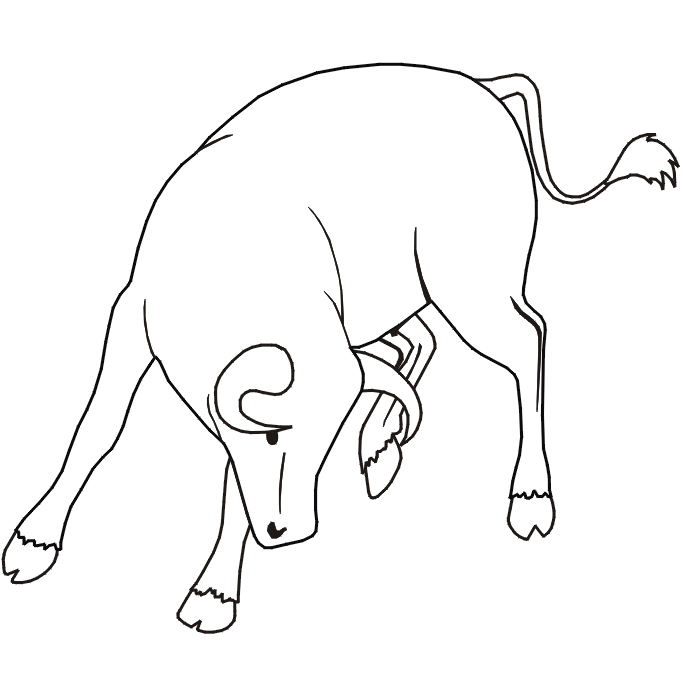 Bull coloring #5, Download drawings