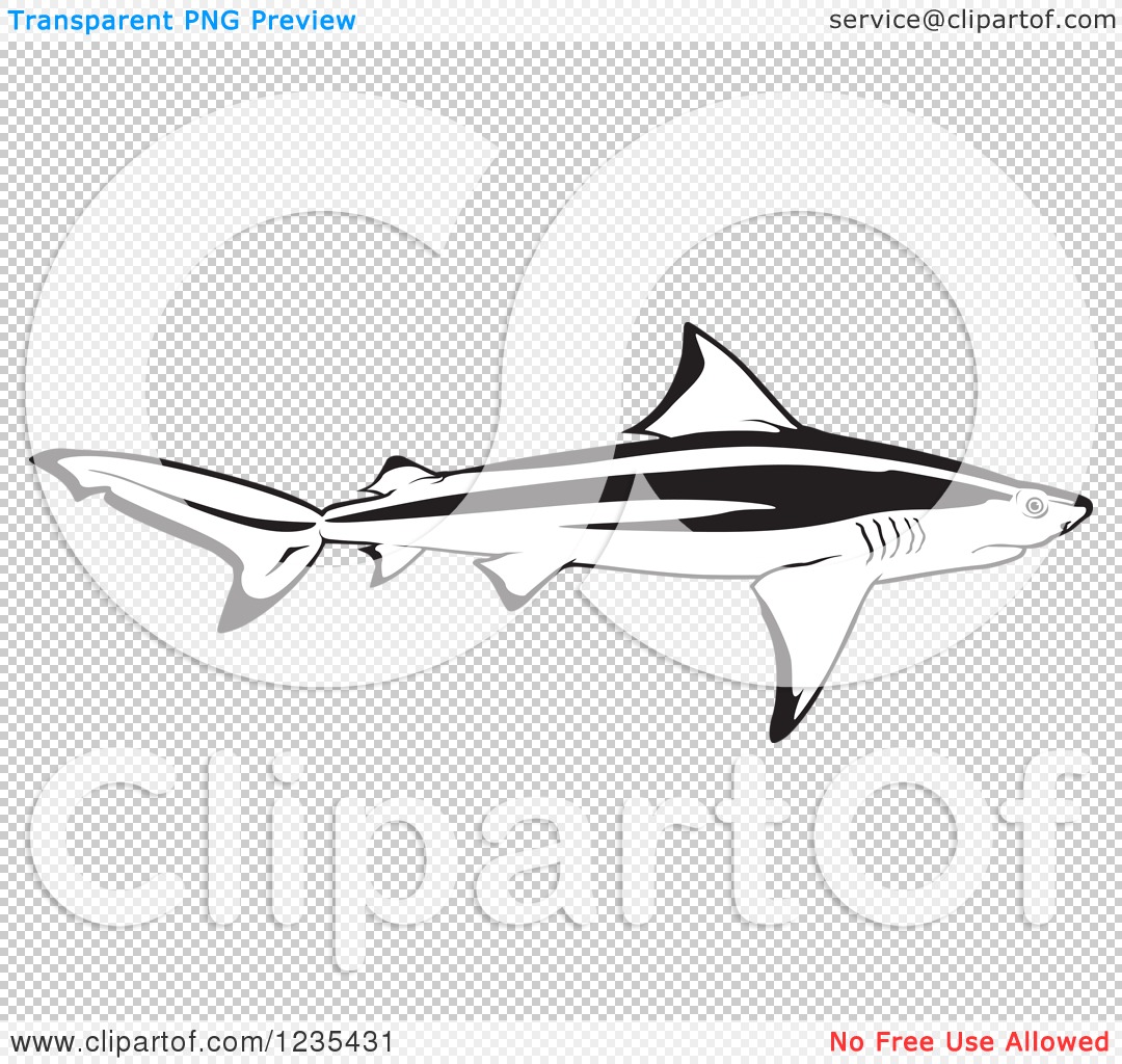 Bull Shark clipart #4, Download drawings