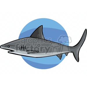 Bull Shark clipart #16, Download drawings