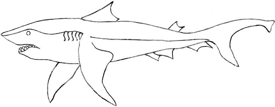 Bull Shark coloring #13, Download drawings