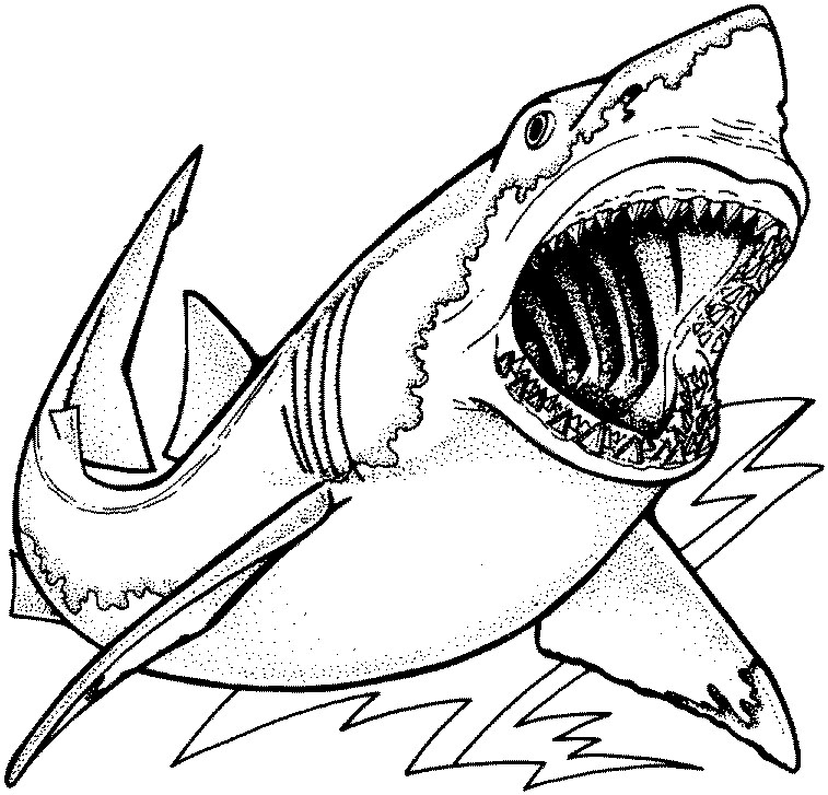 Bull Shark coloring #5, Download drawings