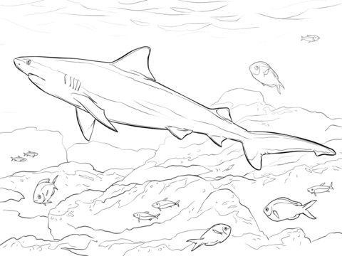 Bull Shark coloring #18, Download drawings