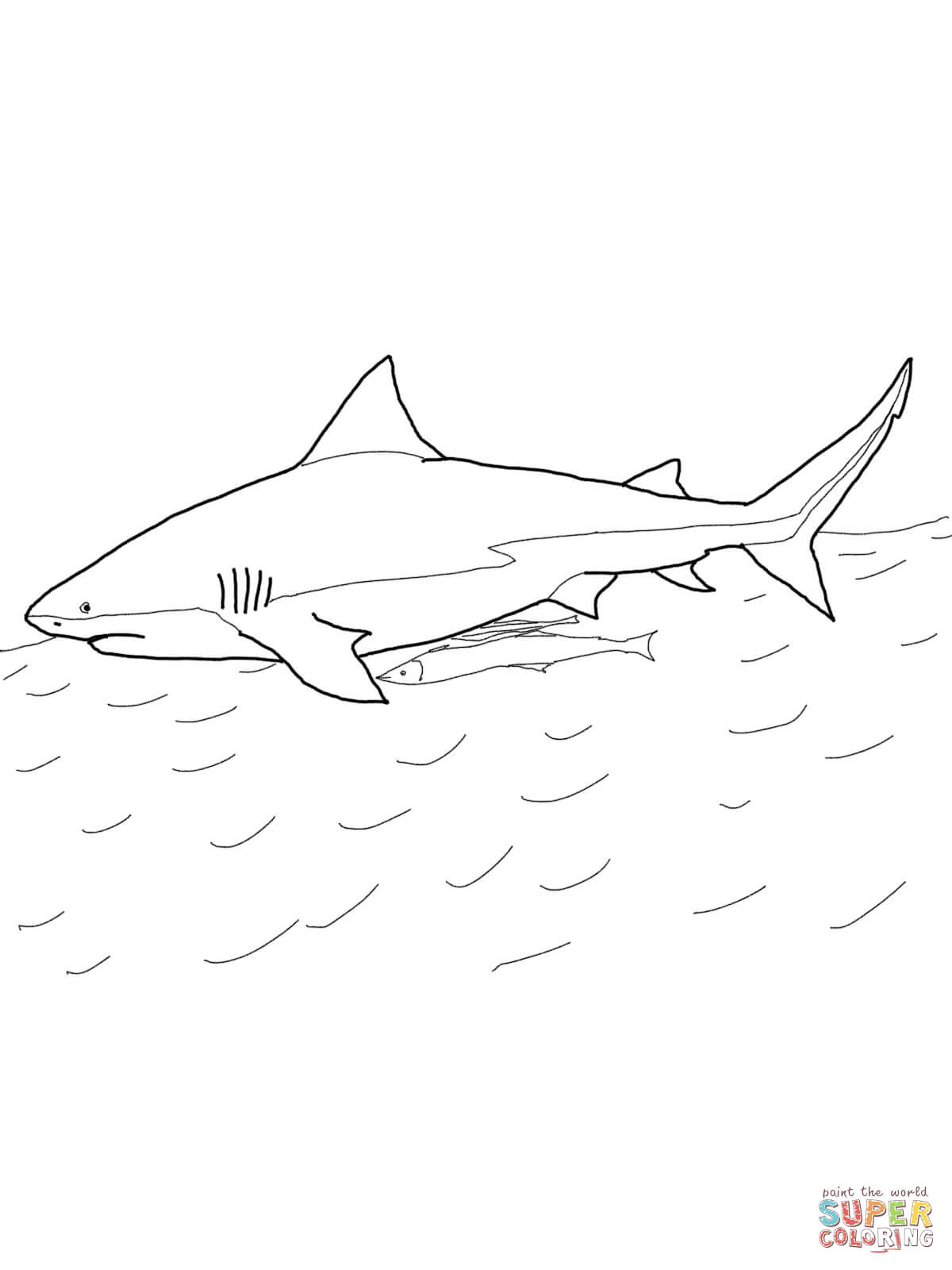 Bull Shark coloring #15, Download drawings