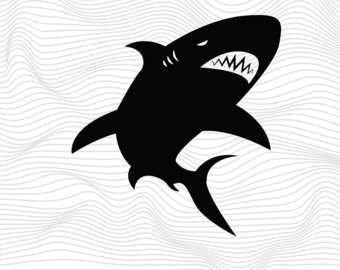 Download Bull Shark svg for free - Designlooter 2020 👨‍🎨