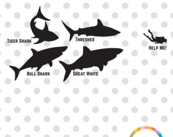 Great White Shark svg #13, Download drawings