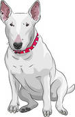 Bull Terrier clipart #5, Download drawings