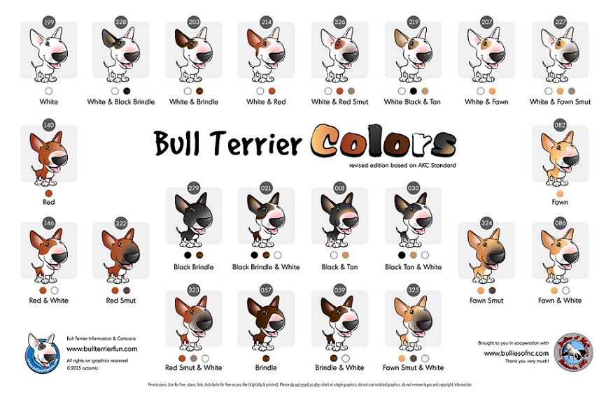 Bull Terrier coloring #6, Download drawings