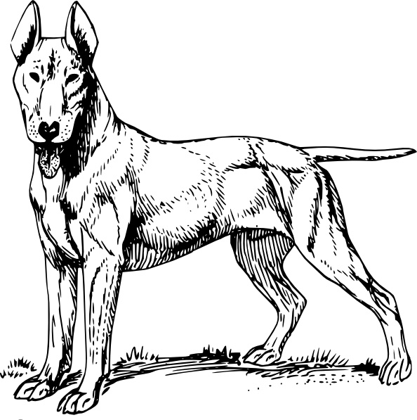 Bull Terrier svg #7, Download drawings
