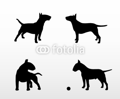 Bull Terrier svg #18, Download drawings