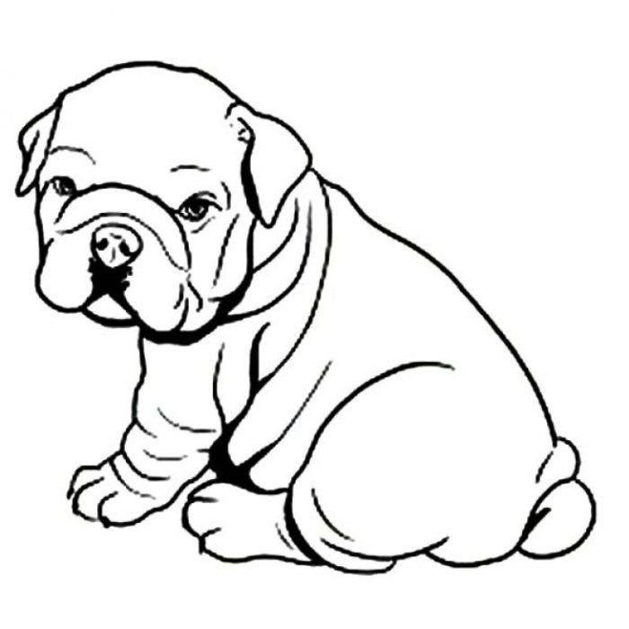 Bulldog coloring #15, Download drawings