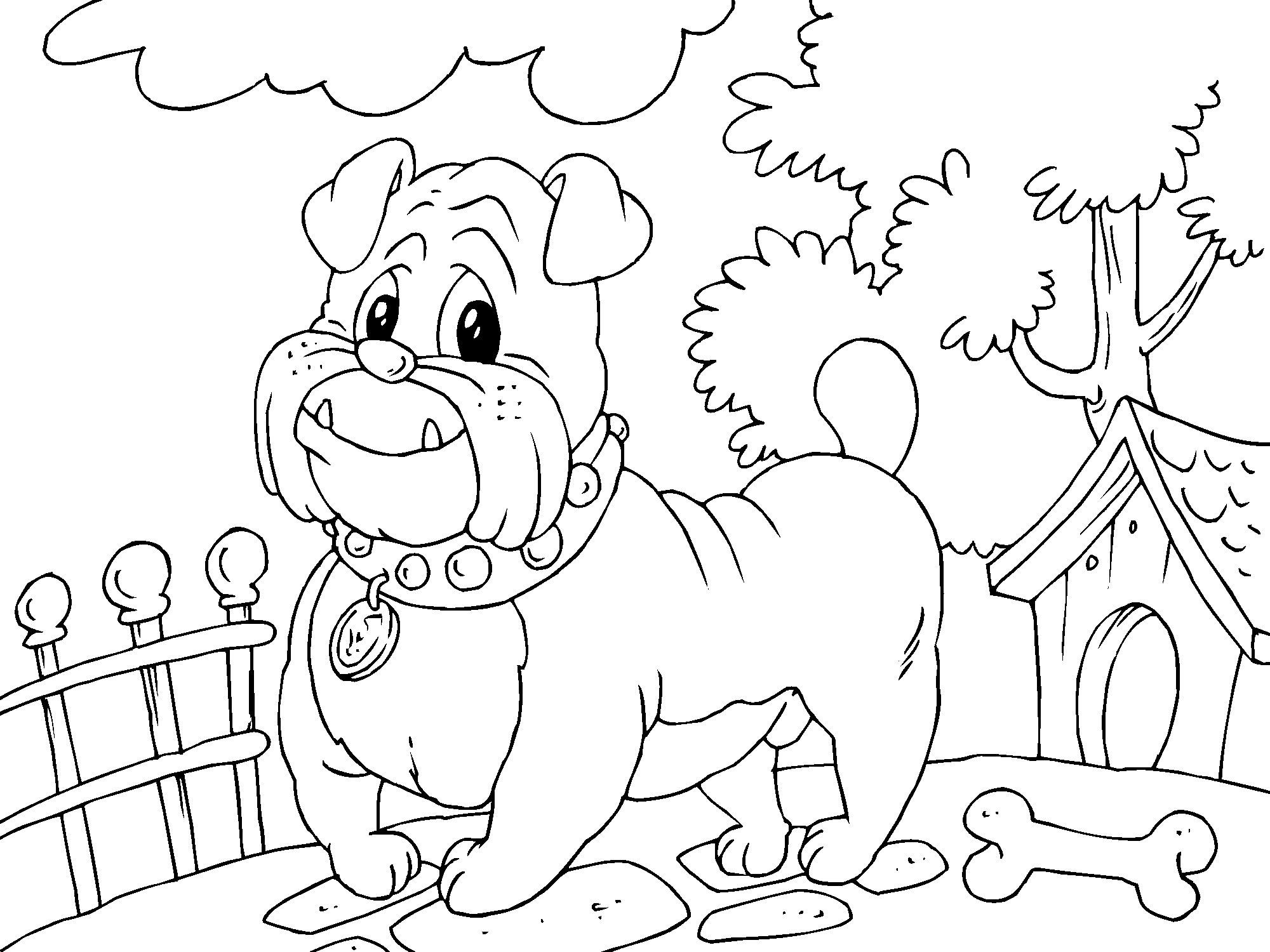 Bulldog coloring #2, Download drawings