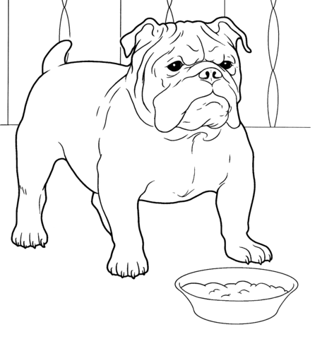French Bulldog coloring #6, Download drawings
