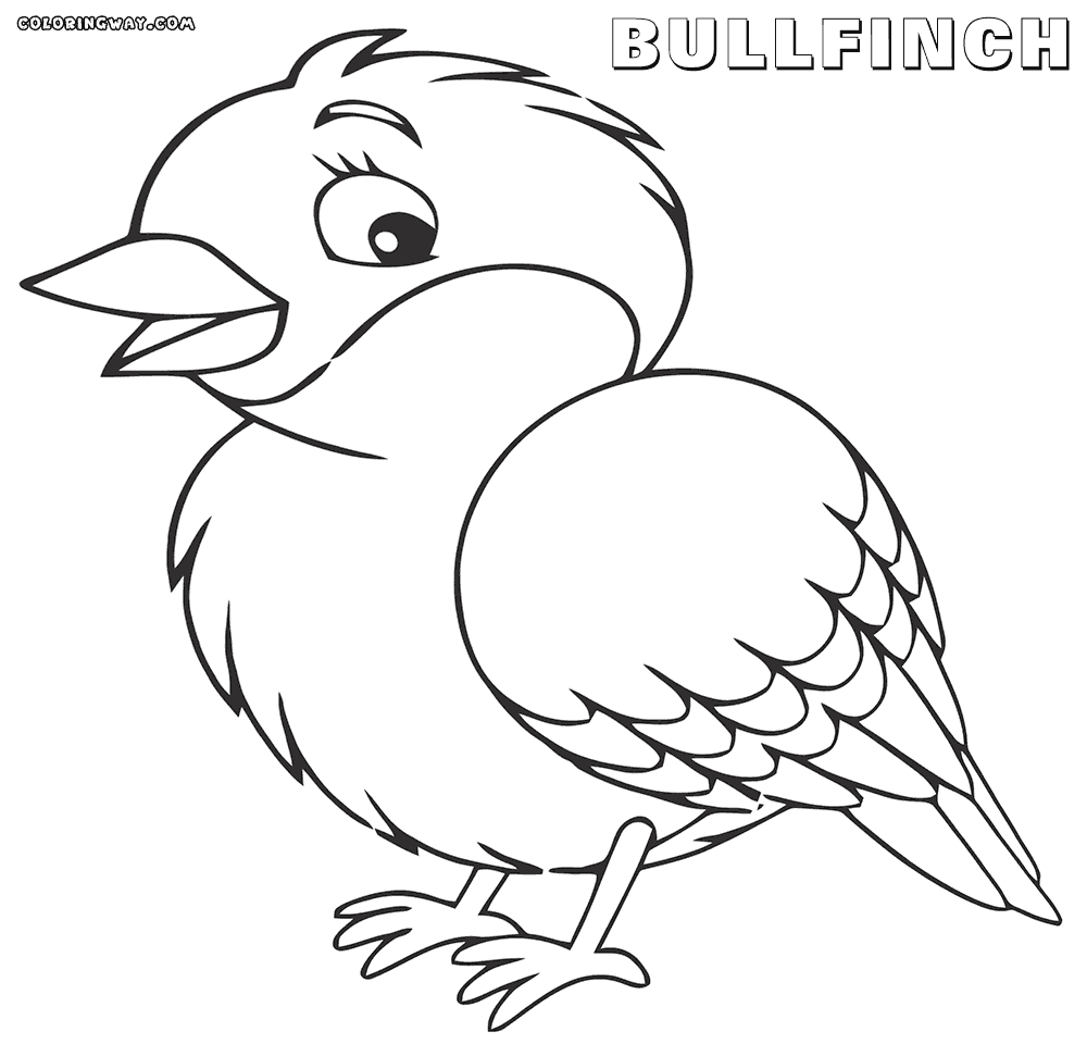 Bullfinch coloring #18, Download drawings