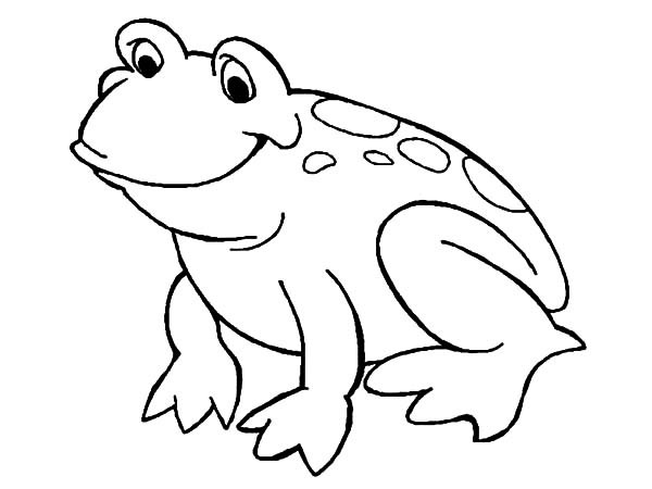 Bullfrog coloring #7, Download drawings