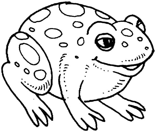 Bullfrog coloring #16, Download drawings