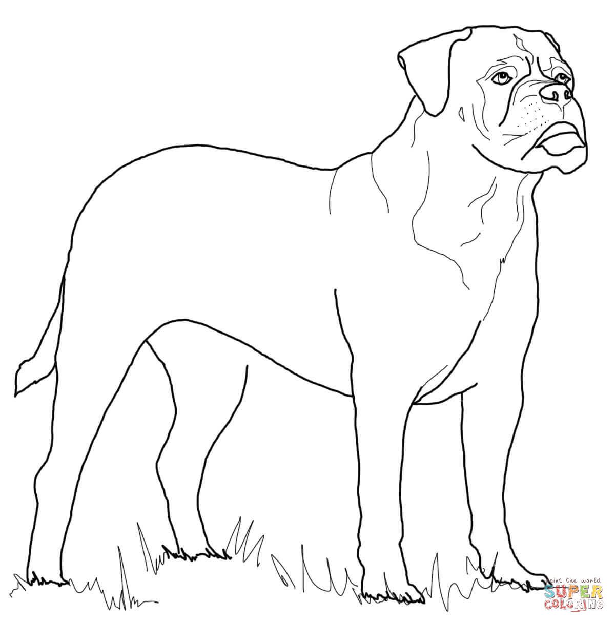 Bullmastiff coloring #14, Download drawings